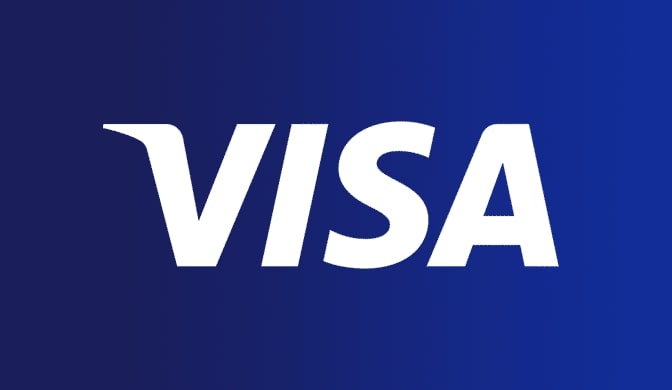visa logo 2014 white